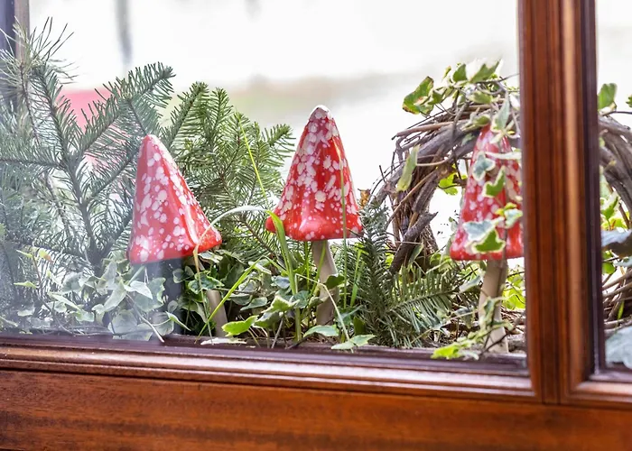 Belkenscheid Kierspe